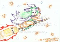 Turbo Broom